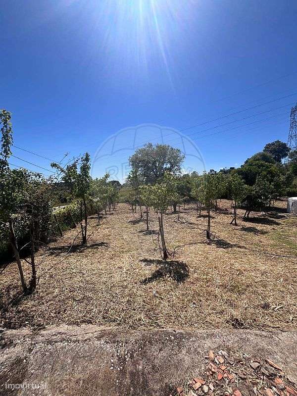 Moradia T2 para venda-22