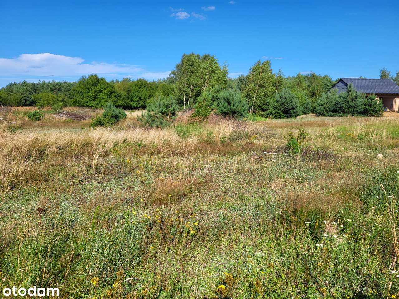 Działka 1500 m² z WZ i mediami!-0