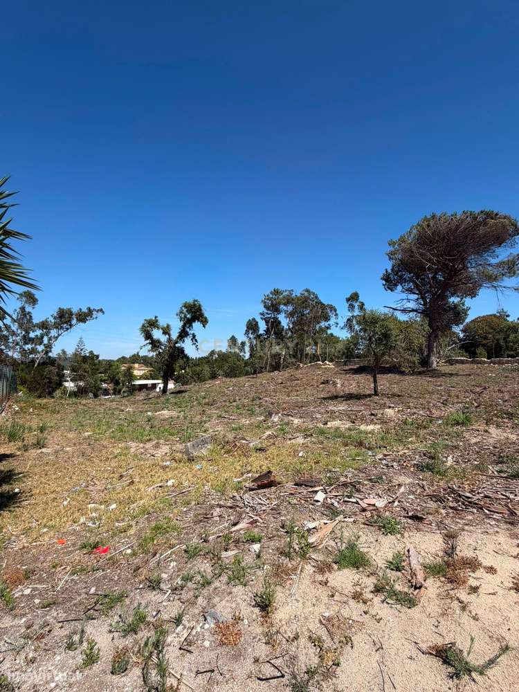 Terreno para Loteamento em Algueirão – Sintra-6