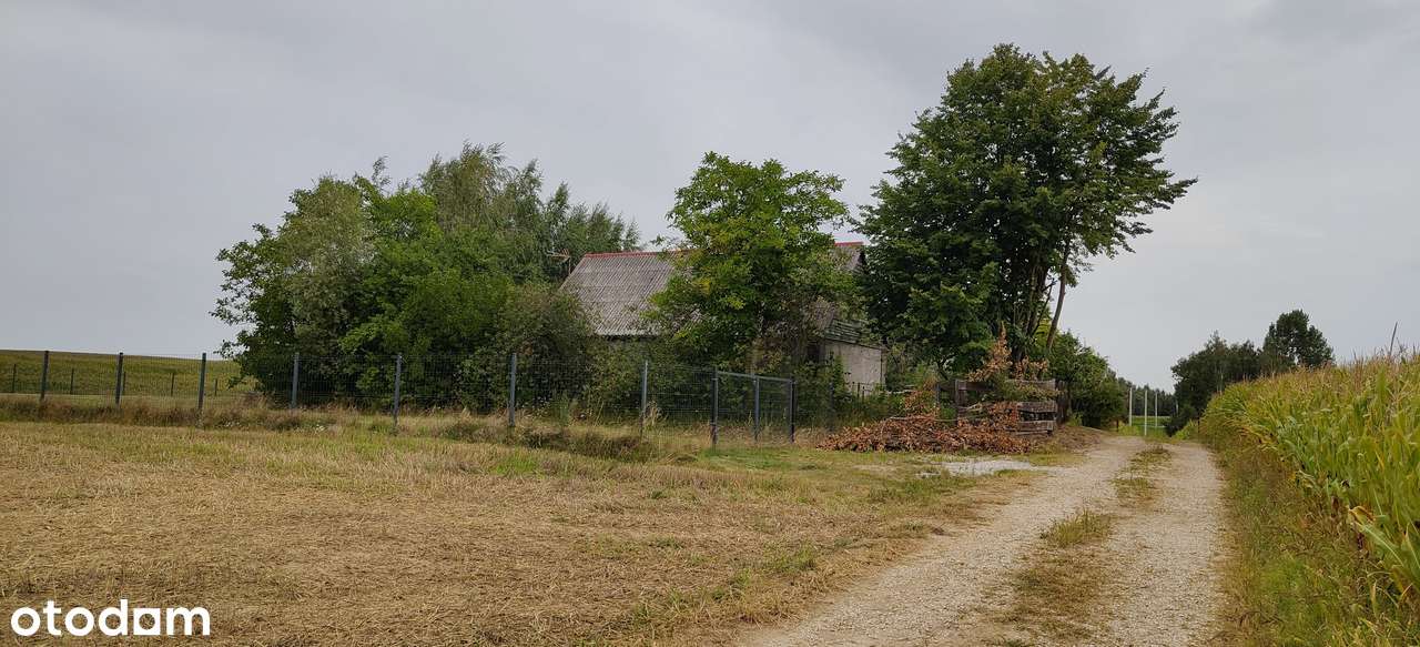 Dom wolnostojący z klimatyzacją i dużą działką