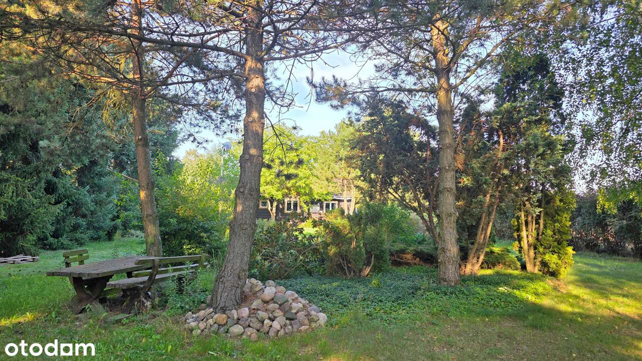 Drewniany dom, Krajobrazowy Park Wzniesień Łódzkich, Ługi-17