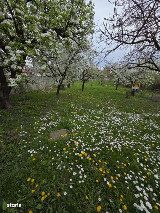 Casa P+M cu teren de 18 ari, Baia Sprie-15
