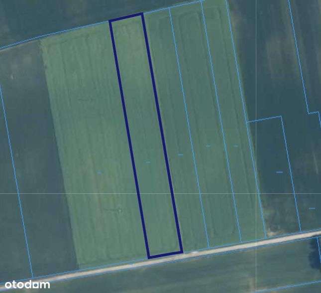 Działka, 5 800 m², Leopoldów - Pełny obrazek: 1/1