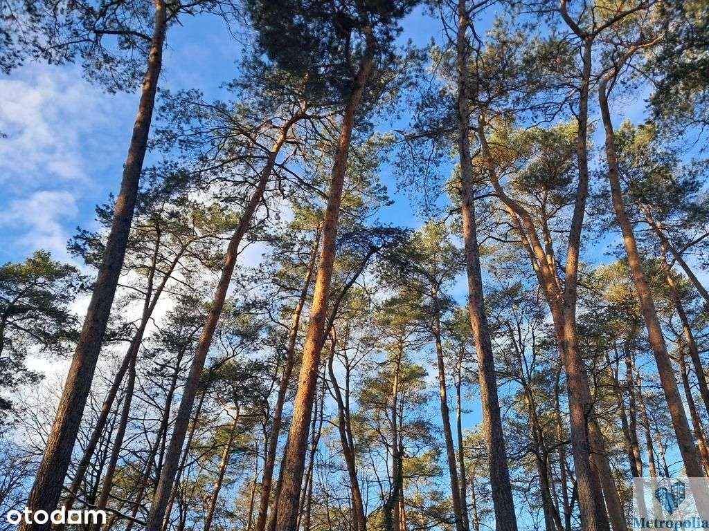 Dom 313m2, 6 pokoi, Zalesie Górne Wyżyny.-2