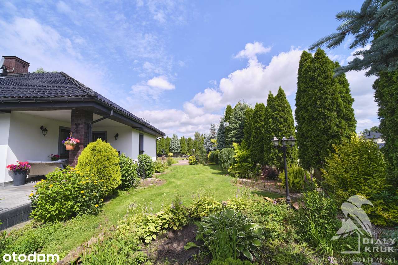 Piękny Dom pod Toruniem z prywatnym lasem – Okazja!-6