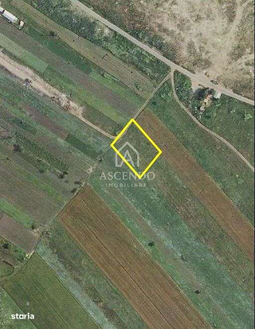 Teren Intravilan 3.000 mp Jilava  Investiție sau Rezidențial - Imagine principală: 2/4