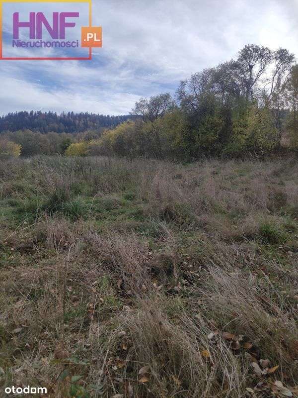 Działka 24ar w Kamienicy - Pełny obrazek: 5/12