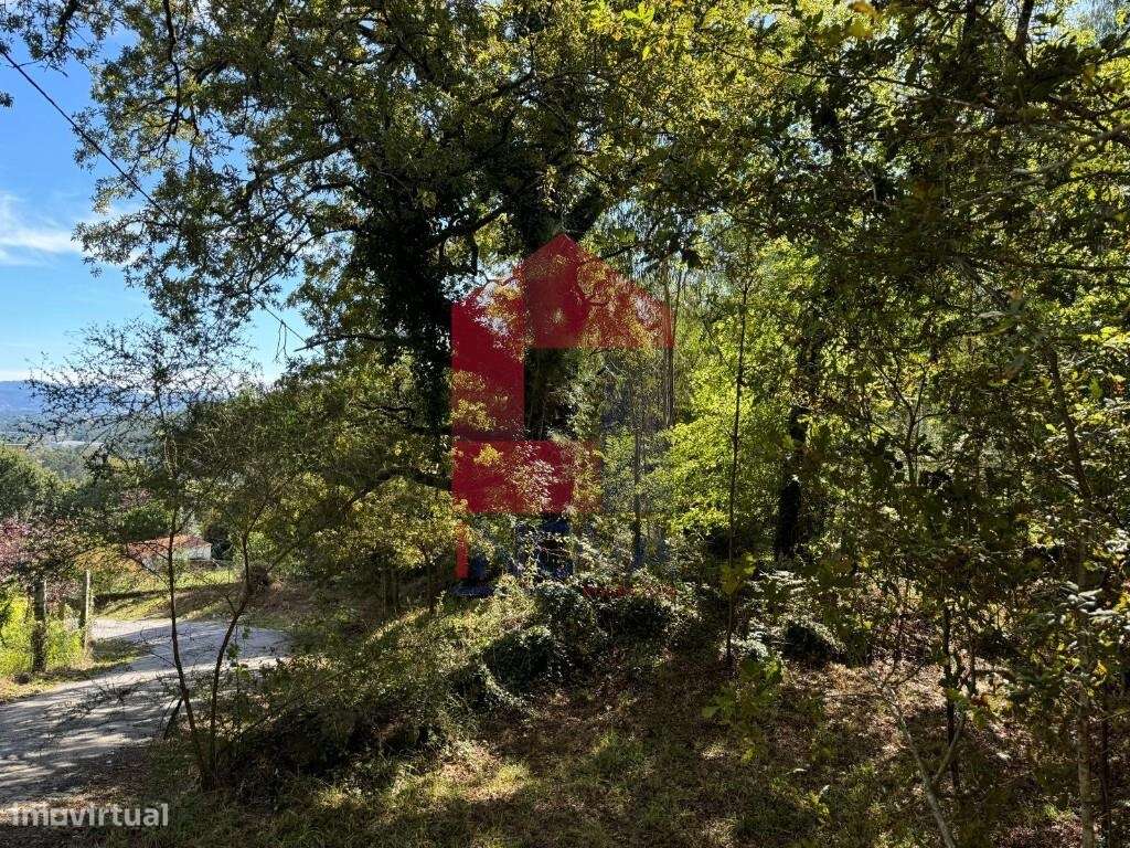 Terreno para construção, Mós - Grande imagem: 5/13