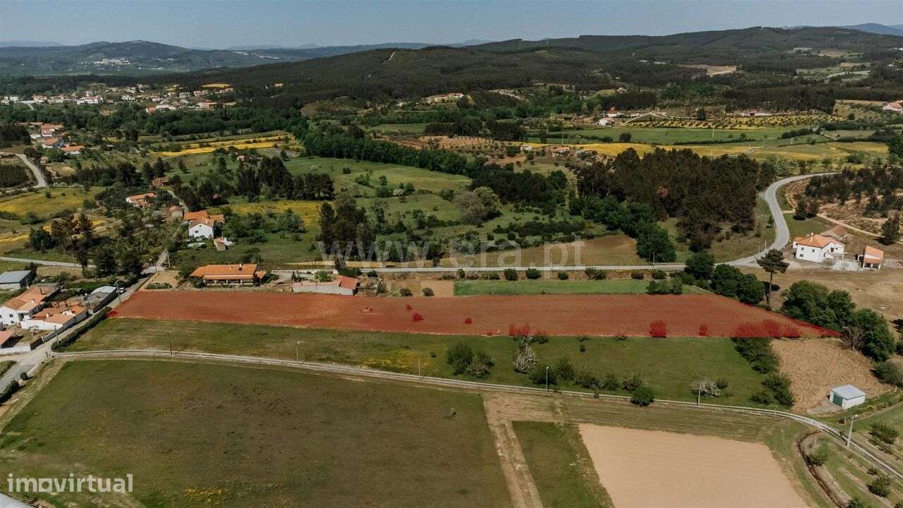 Terreno / Fundão, Enxames - Grande imagem: 4/9