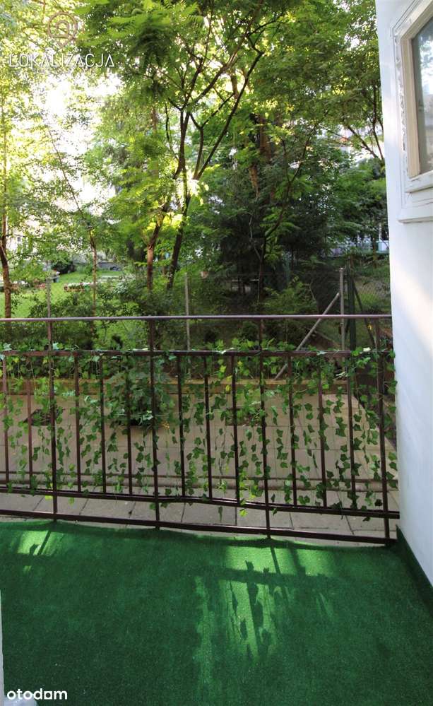 Mieszkanie w centrum z trzema osobnymi pokojami - Pełny obrazek: 5/8