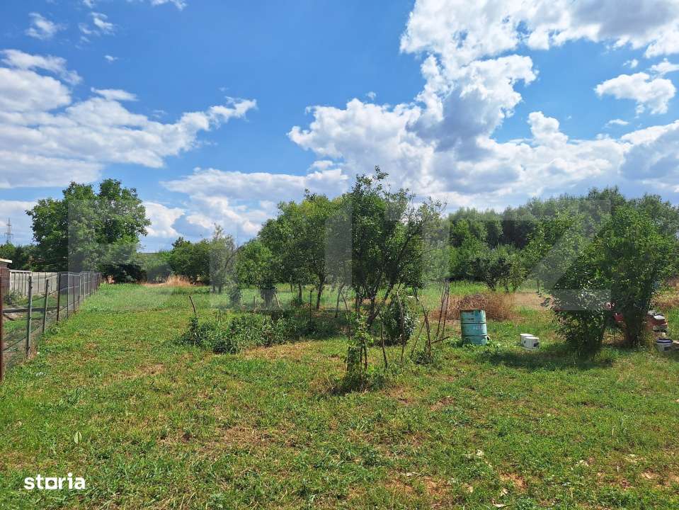 Teren intravilan, 4600 mp, dezvoltari imobiliare, Timisoara - Imagine principală: 3/4