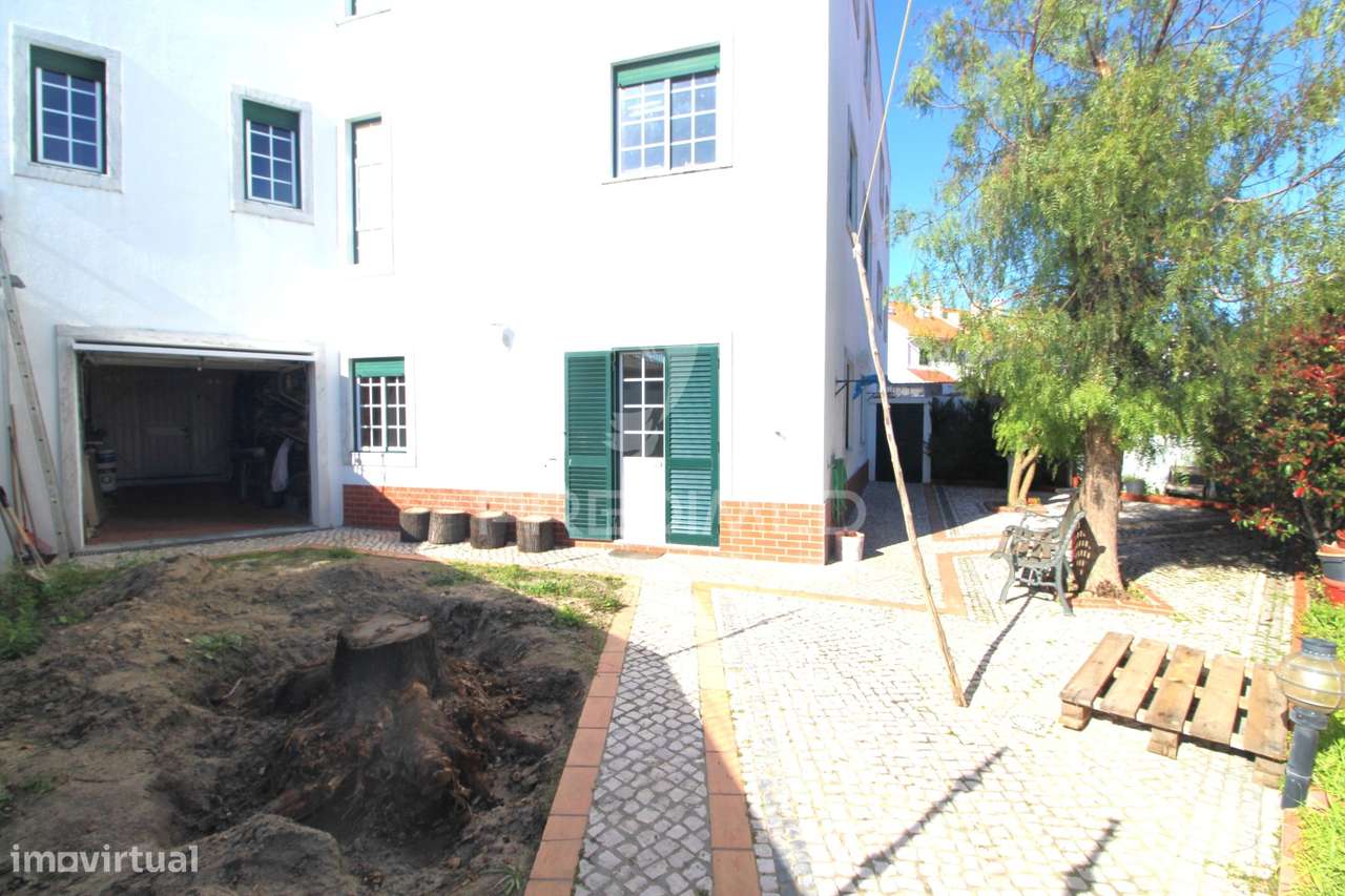 Mordia T5 com logradouro generoso - Grande imagem: 2/36