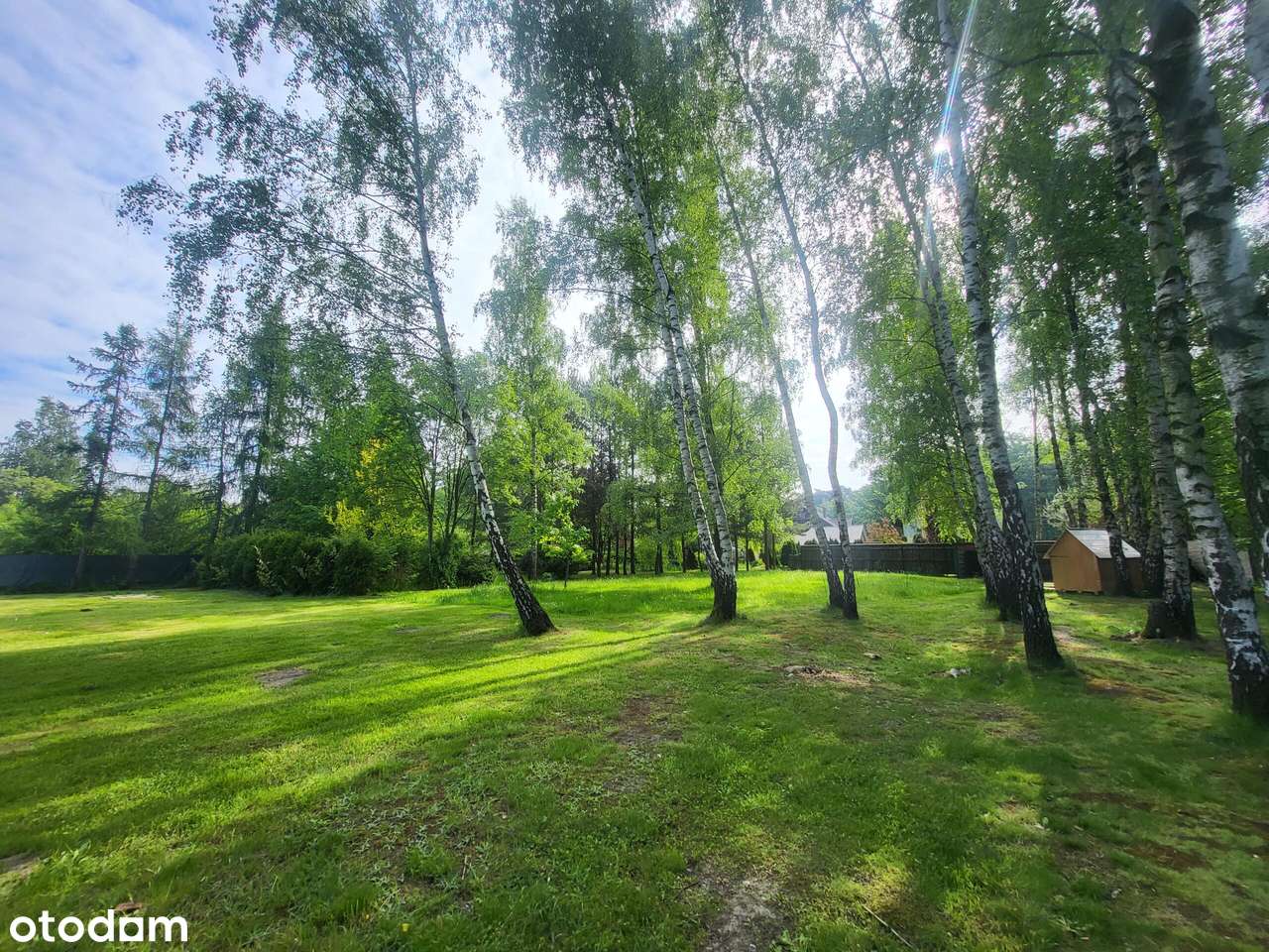 Urokliwa działka blisko lasu - Pełny obrazek: 5/18