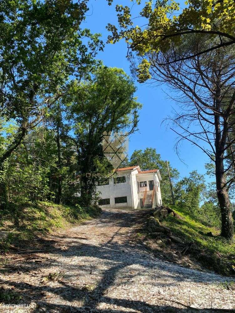 Quinta de Paço de Sousa – Tradição, Natureza e Potencial em Harmo-25