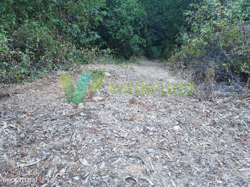Excelente Terreno Rústico com Ribeira para Venda em Monchique - Grande imagem: 5/29