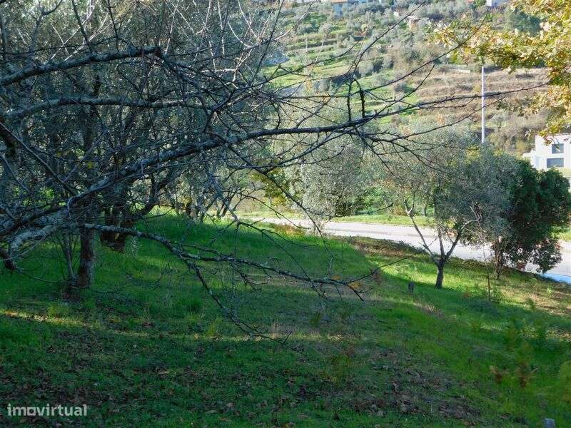 Terreno / Seia, Seia, São Romão e Lapa dos Dinheiros - Grande imagem: 4/11