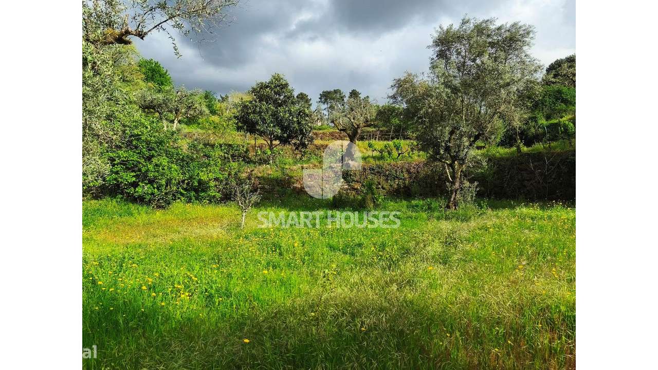 Quintinha em Vila do Mato-22