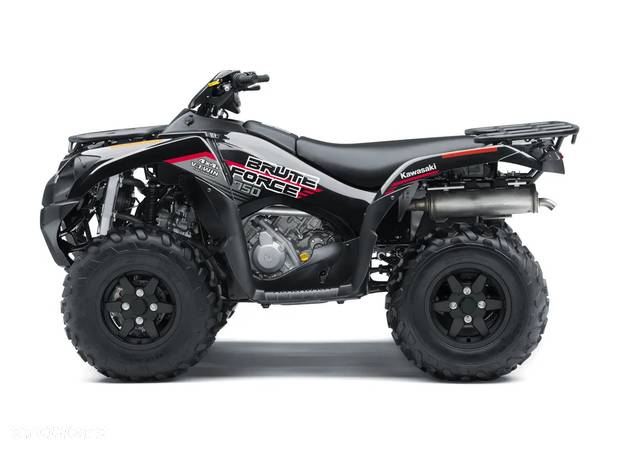 Kawasaki Brute Force - 3