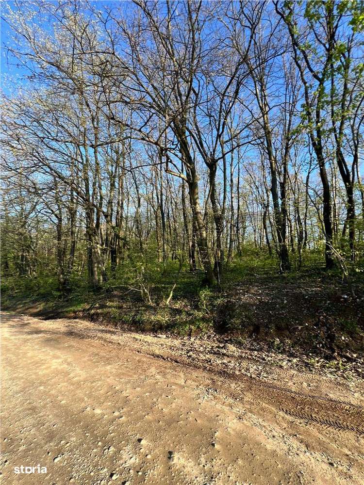 RECO teren de vanzare in zona de Dealuri Oradea - Imagine principală: 4/4