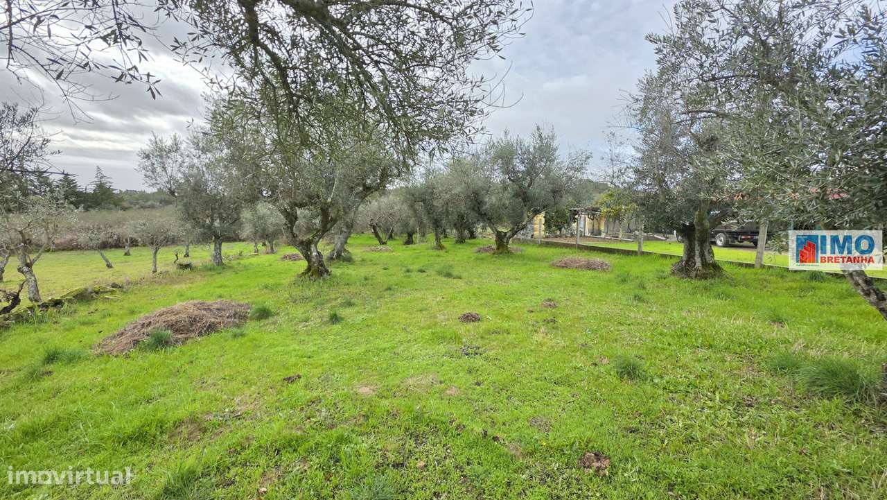 Quintinha em Póvoa de rio de Moinhos- Castelo Branco - Grande imagem: 3/12