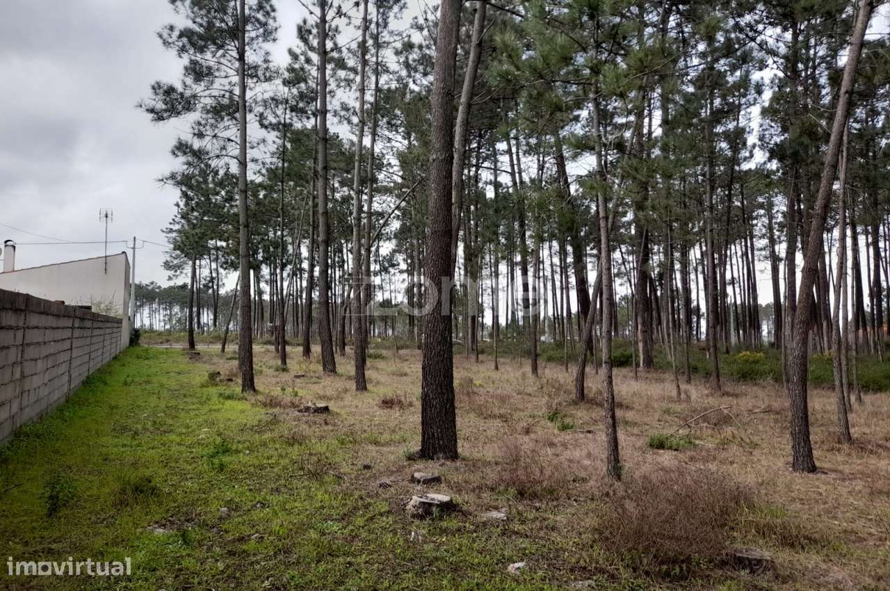 terreno rústico Brejo d'agua - Grande imagem: 5/21