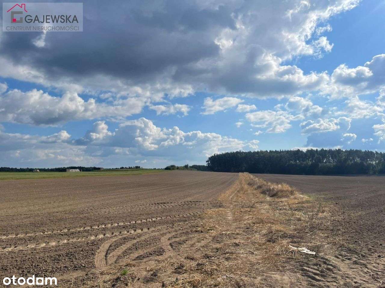 Działka budowlana przy lesie, Szydłowo ul.Ogrodowa-1
