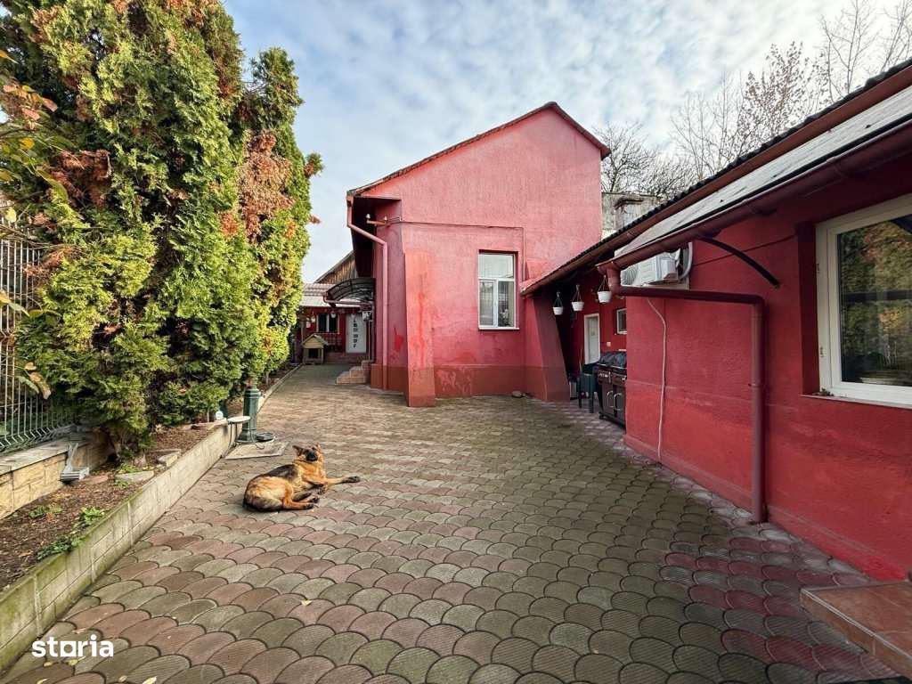 Casa Centrul vechi Baia Mare ,490 mp teren , zona excelenta! - Imagine principală: 5/20