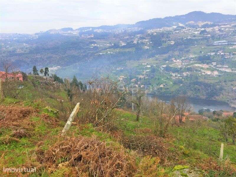 Terreno / Cinfães, Espadanedo - Grande imagem: 4/13