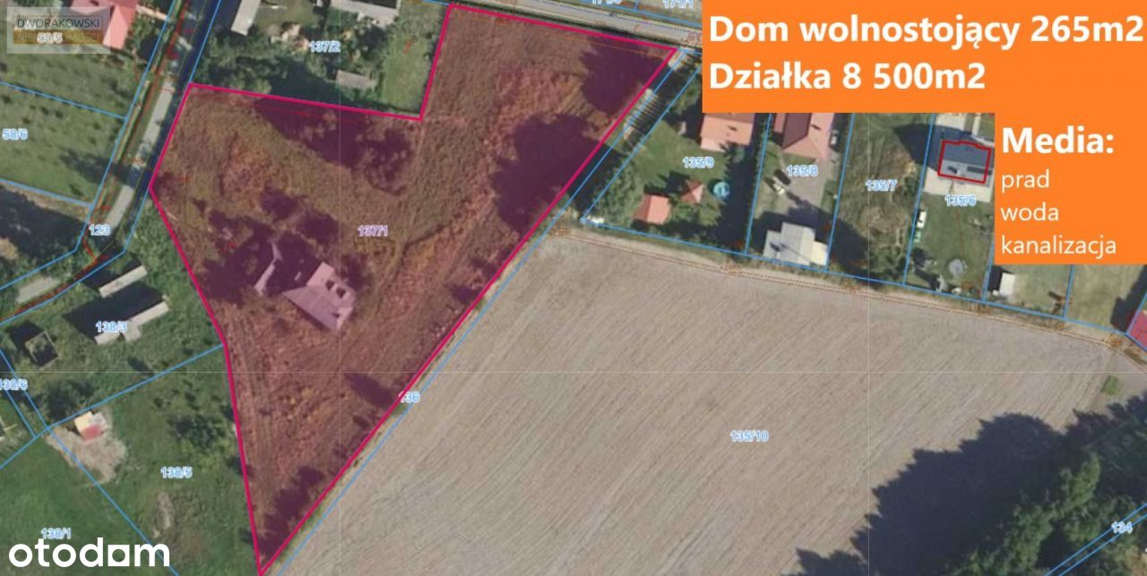 Dom, 265 m², Sośnie