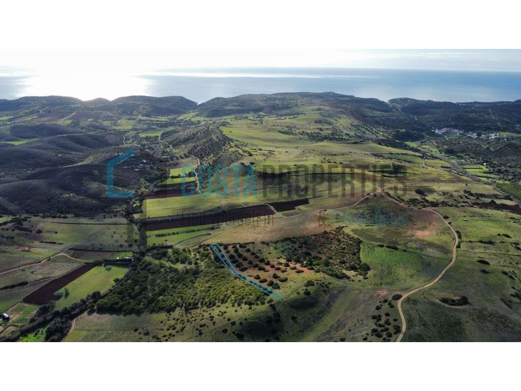 Terreno Rústico para Cultura Arvense na Raposeira - Grande imagem: 3/16