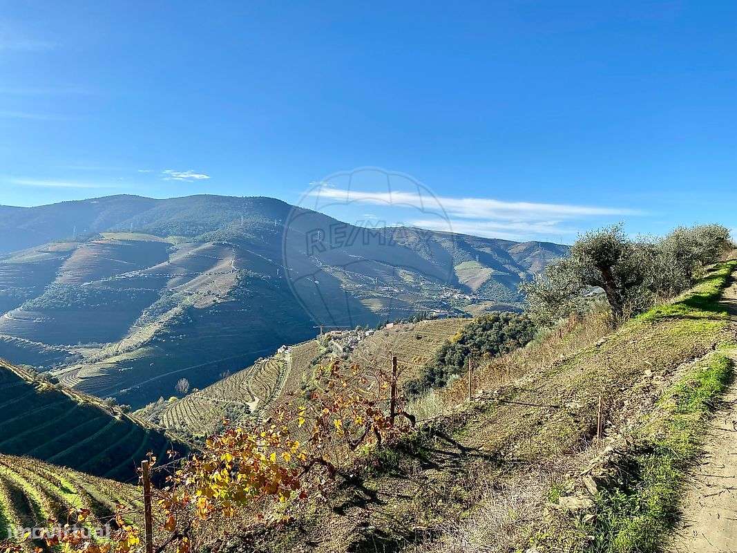 Quinta  para venda - Grande imagem: 4/27