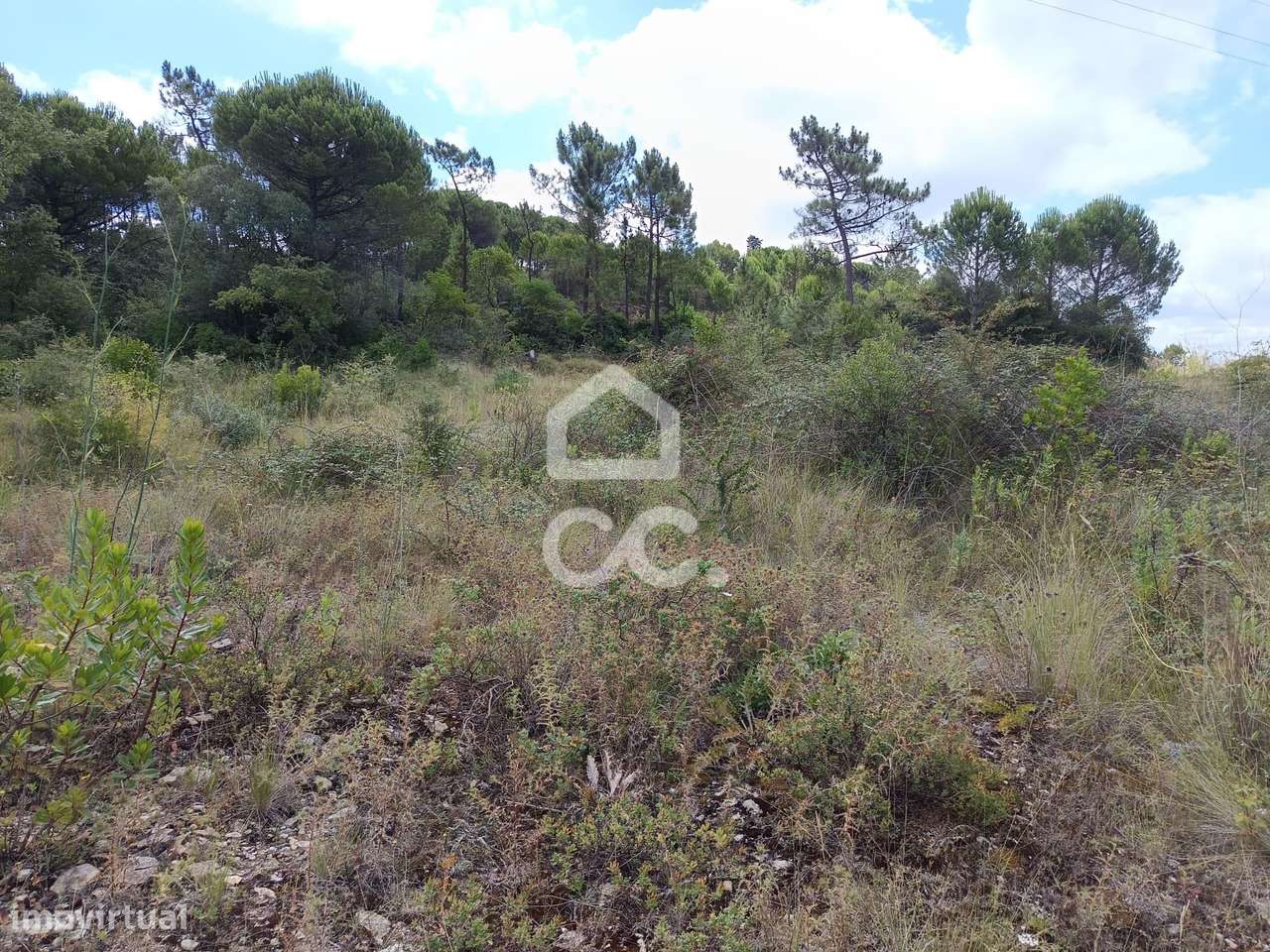 Terreno em Cernache com 7.609m2 - Grande imagem: 2/9