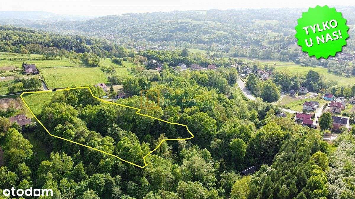 Piękna działka z lasem, Glinik Charzewski, 1,18 ha-3