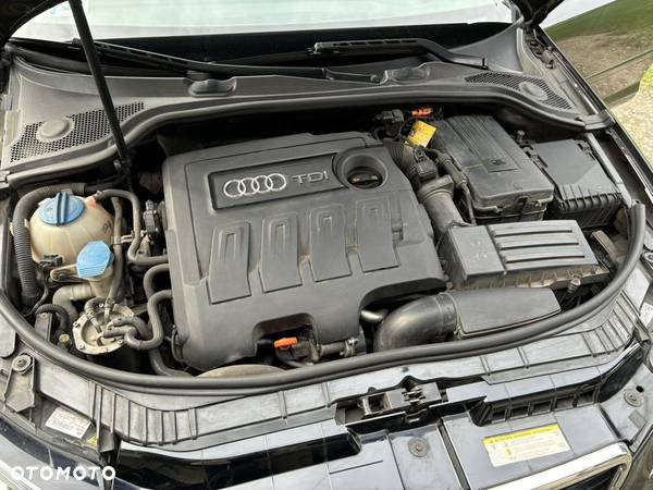 Audi A3 1.6 TDI DPF Attraction - 16