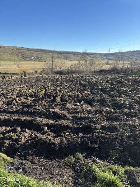 Vand teren 4080MP cu toate utilitatile necesare. - Imagine principală: 5/6