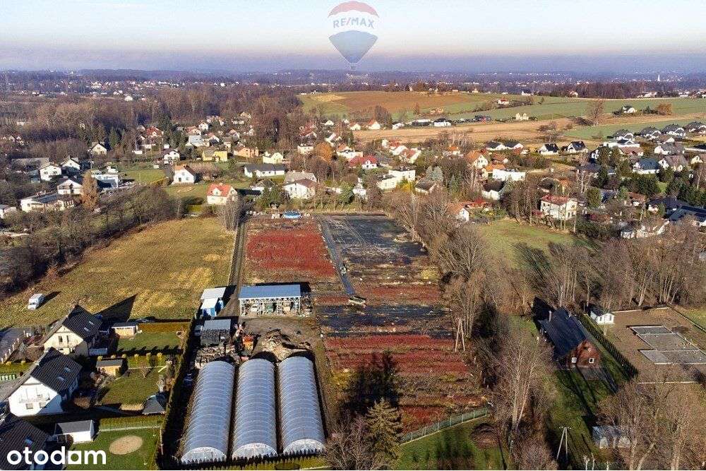 Kozy – działki budowlane 5794 m² - Pełny obrazek: 4/20