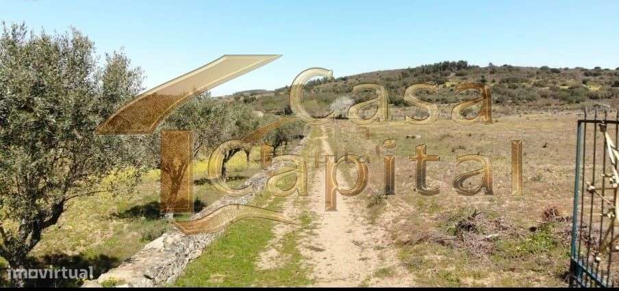 Quinta localizada na região nobre do Rio Douro Superior em Foz Côa - Grande imagem: 4/24