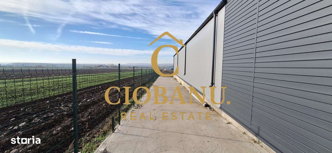 Hala de vanzare in Racari de Jos-12