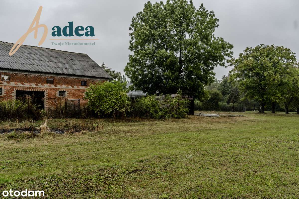 Atrakcyjna działka 27,5 ara tylko 15 min od Chełma - Pełny obrazek: 5/7