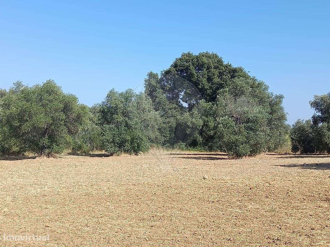 Terreno  para venda - Grande imagem: 5/17