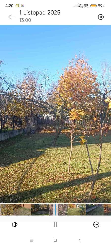 Świetna lokalizacja atrakcyjna wydane WZ - Pełny obrazek: 4/7