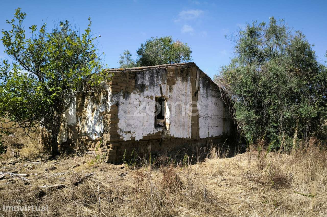 Terreno Misto ruína Vidigueira - Grande imagem: 5/10