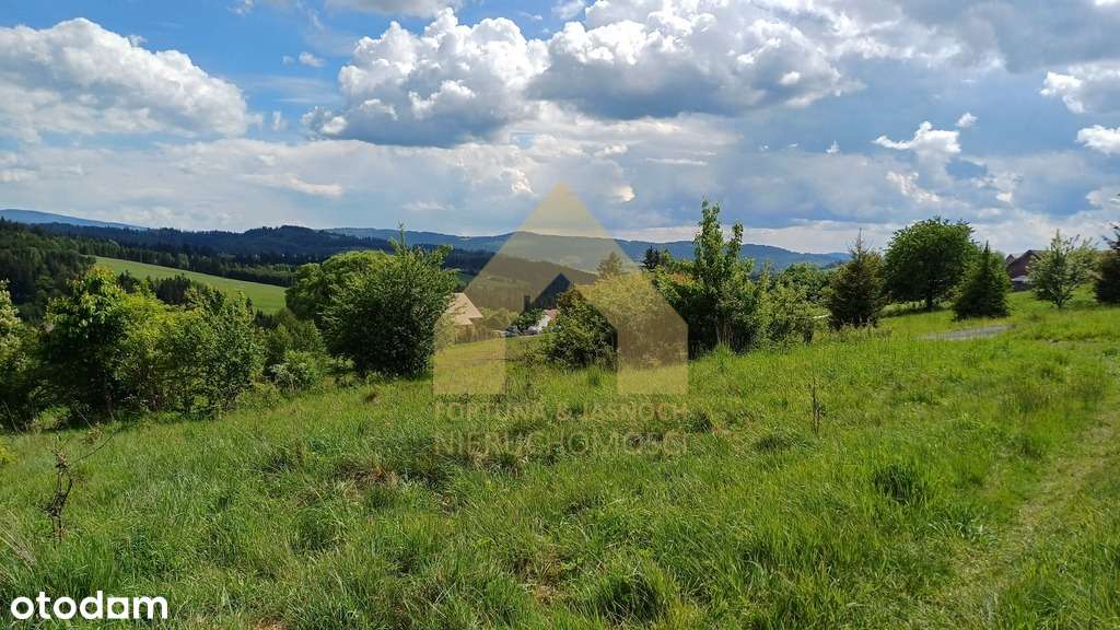 Działka budowlana - 1291 m2 - Jaworzynka-5