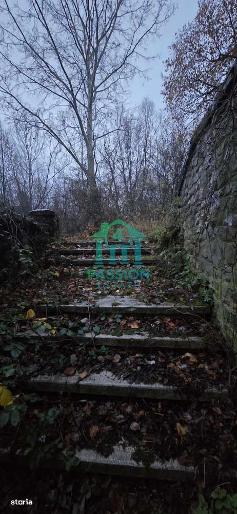 Teren cu Valoare Istorică în Breaza de Sus – 11.230 mp + 2 Locuințe-5