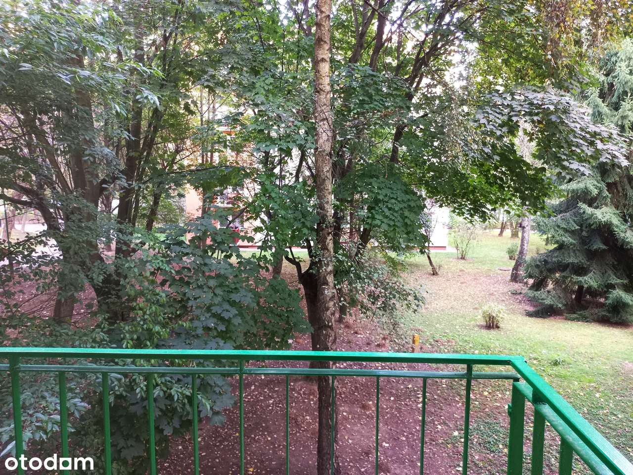 *NOWE WYKOŃCZENIE PREMIUM*ZAKOŃCZENIE ROCZNEGO REMONTU*ZIELONA OKOLICA - Pełny obrazek: 3/20