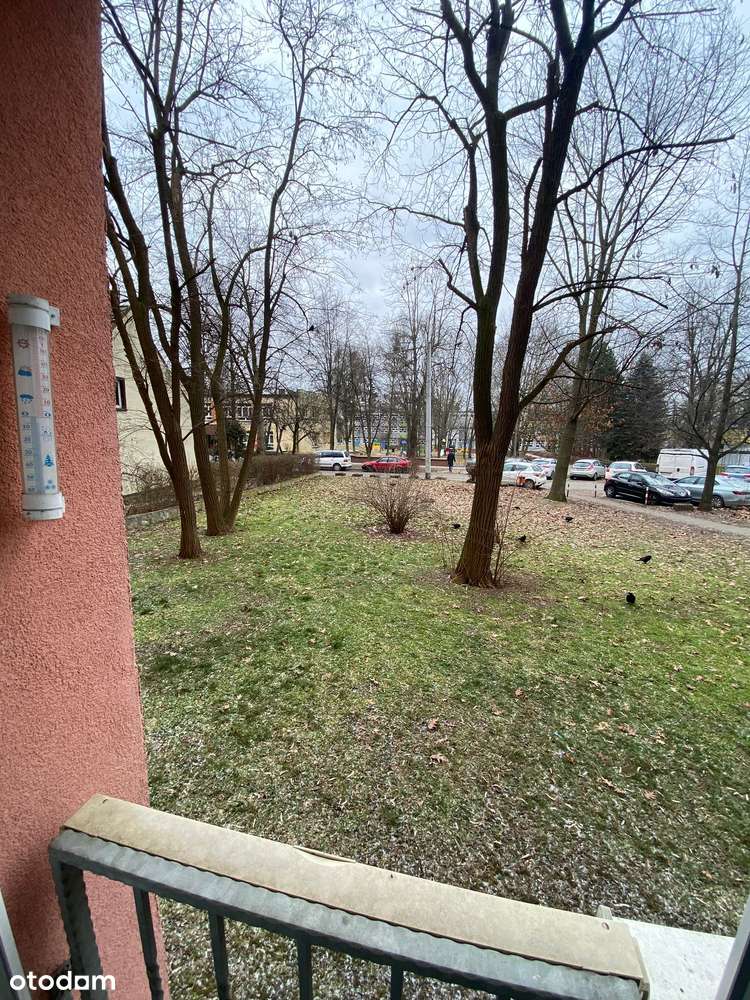 Przytulne 2 pokoje w zielonej okolicy – szkoła, sklepy, przystanki-8