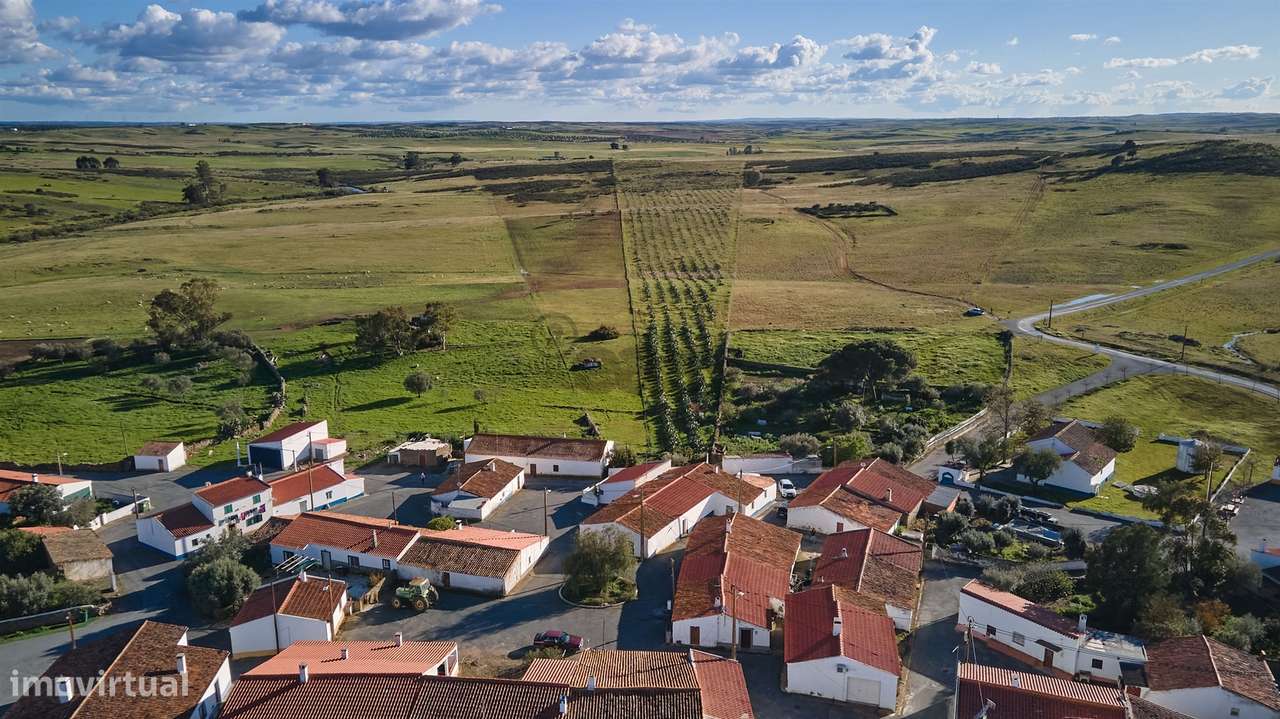 Terreno rústico 5,575 ha, Plantação de Figueira Índia, São Marcos da A - Grande imagem: 4/39