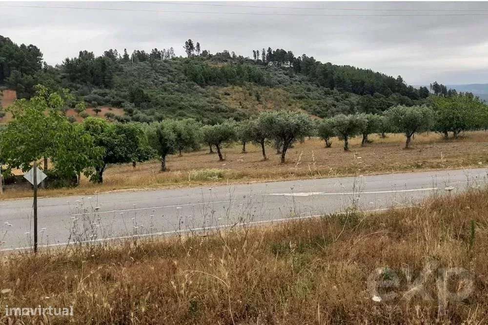 Terreno rústico - Freguesia Bouça - Grande imagem: 5/8