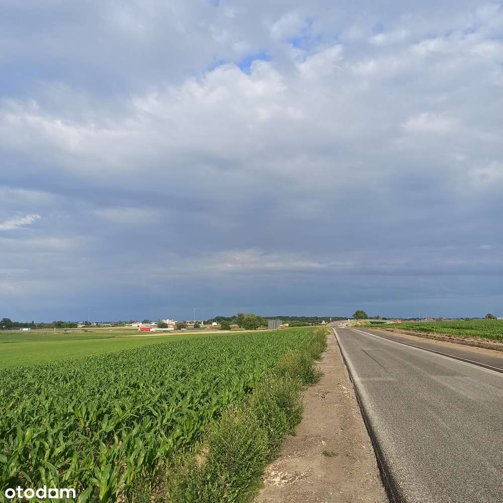 Działka usługowa 6000 m2 - Pełny obrazek: 4/7
