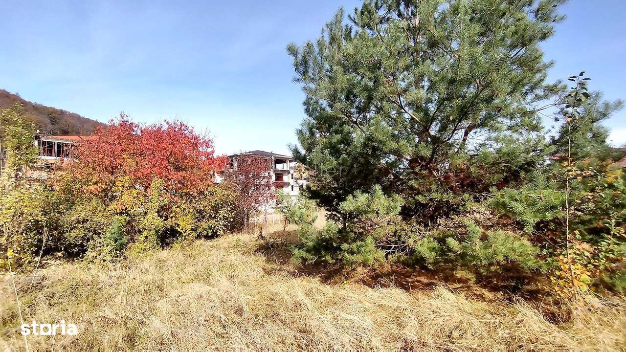 Teren Intravilan Bunloc - Imagine principală: 4/16